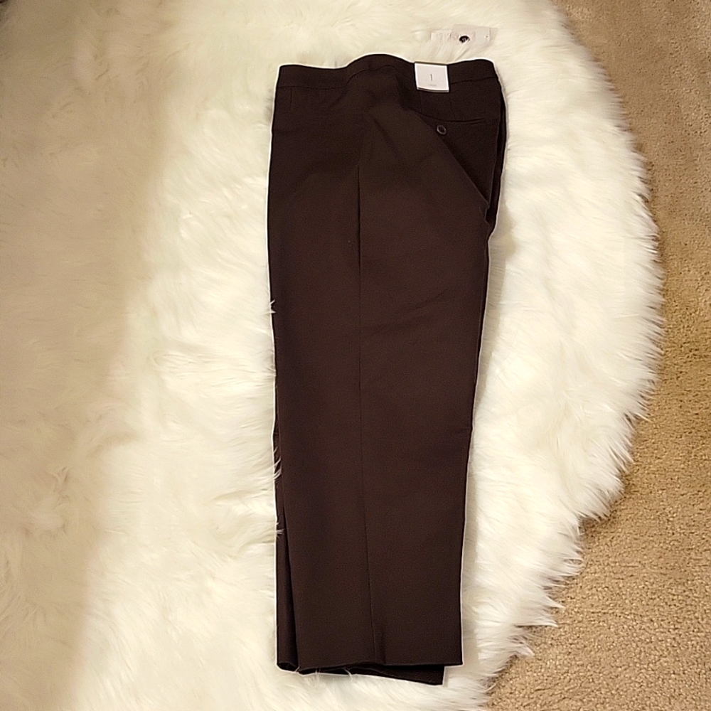 Chico's Double Chic Rockledge Brown Crop Stretch pants 4 pocket sz 1 Medium NEW…